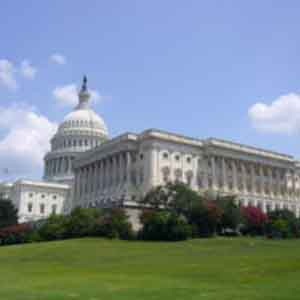 US Economic Crisis: A Suitable Ground for Election Campaign