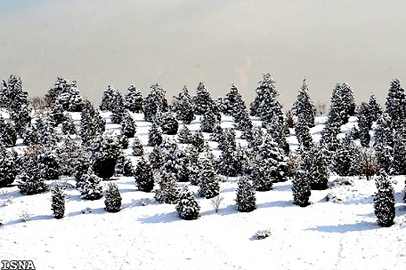 Tehran on a Snowy Day