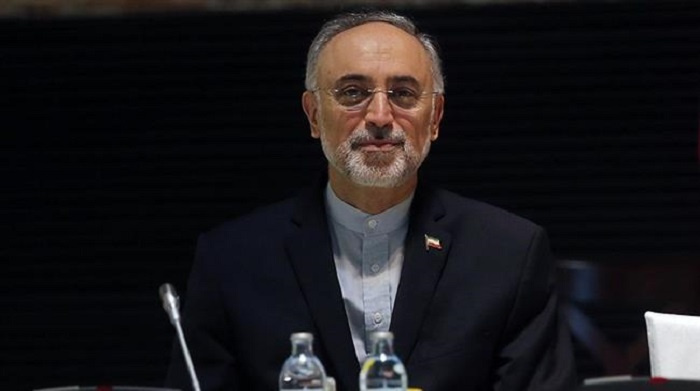 Salehi: Majlis’ Modification of JCPOA Could Disturb Everything