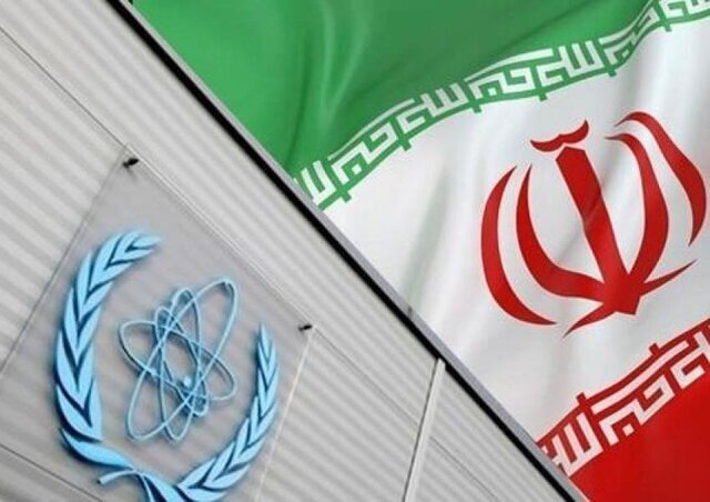 IAEA susceptible to U.S.' pressure: Nader Entessar