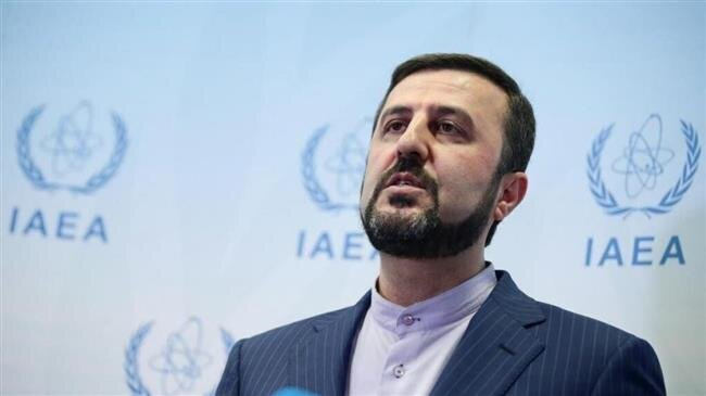 Envoy criticizes IAEA chief over remarks on Iran nuclear program