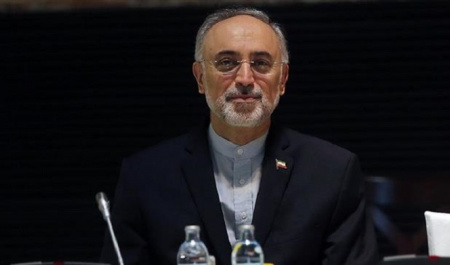 Salehi: Majlis’ Modification of JCPOA Could Disturb Everything