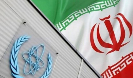 IAEA susceptible to U.S.' pressure: Nader Entessar