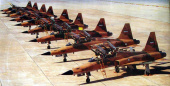 خلبان های «اف-۵» ایرانی از پس «اف-۳۵» های امریکایی برمی آیند