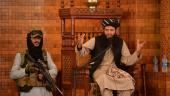 طالبان از بازگشت القاعده به افغانستان استقبال خواهد کرد؟