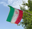 سلبریتی ها و جنگ