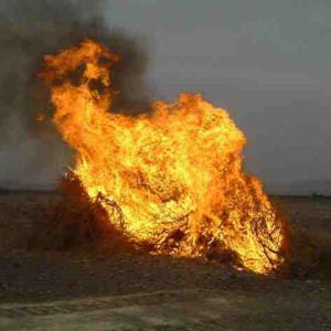 خشونتهای سیستان و خطری هولناکتر از تروریسم
