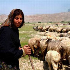 پچپچهها/ دفاع ایران از حق ملت آرژانتين/ درخواست ایران از 1+5/ بز افغانی به از گربه چینی
