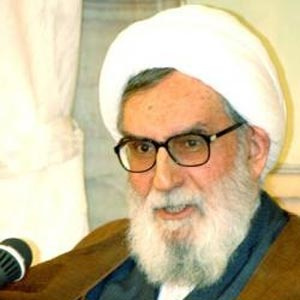 واعظ طبسى: غنىسازى بدون صدور قطعنامه هم ميسر بود
