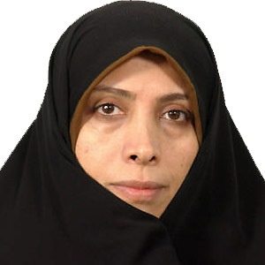 ایران از آژانس تضمین امنیتی بگیرد
