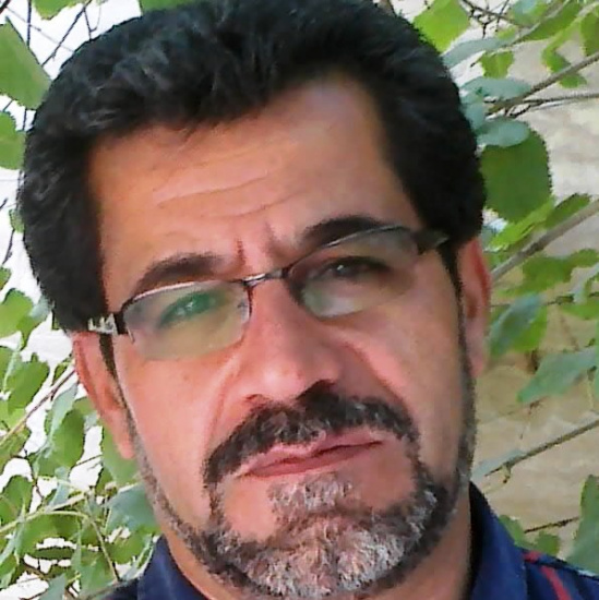 محمدالمرسی؛ انتخاب میان آرمانگرایی و واقعگرایی