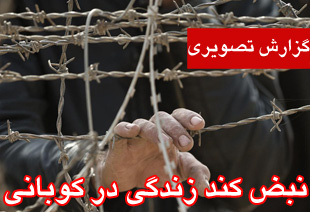 نبض کند زندگی در کوبانی