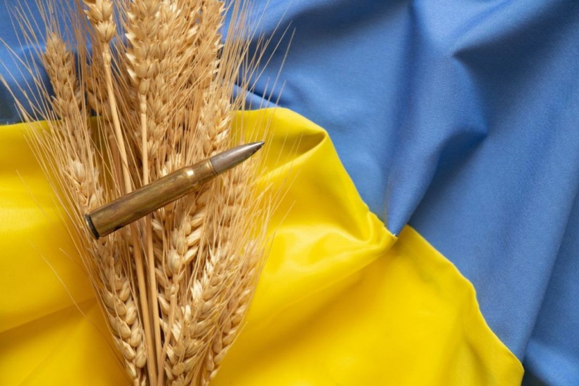 قطع صادرات گندم روسیه و اوکراین و بازارهای وحشت زده