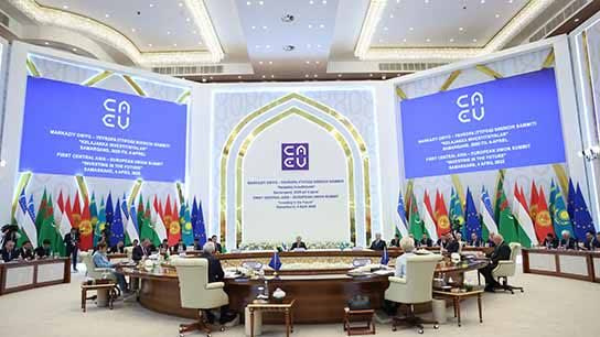 پایان راه برای پانترکیسم اردوغان؟