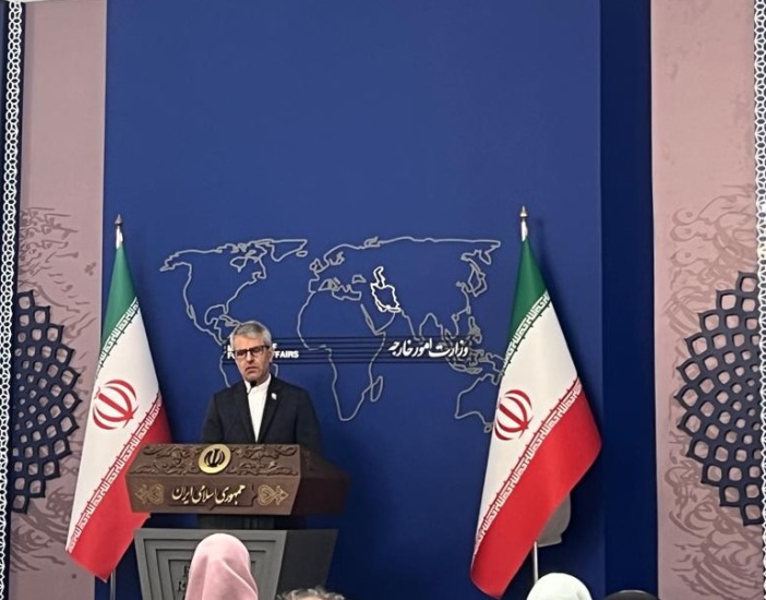 بقایی: تفاهم قاهره دیگر کارایی ندارد/اقدام ترکیه غیرضروری بود