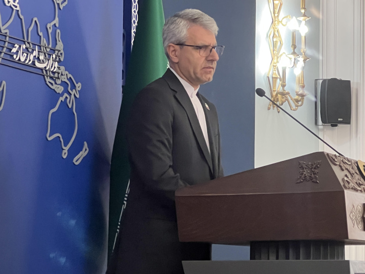 بقایی: خودداری داووس از میزبانی وزیر امور خارجه کشورمان با رفتار دولت سوئیس متناقض است