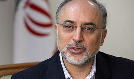 نخستین گامهای صالحی برای نشست استانبول