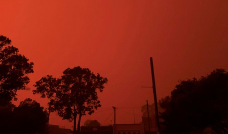 آتش سوزی مهلک در استرالیا