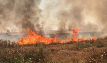 چرا مزارع عراق در آتش می سوزند؟